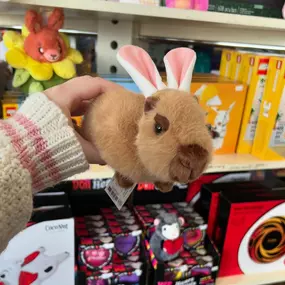 Get ready for valentines and Easter here at Toy Box Michigan! Available online or in store here at Toy Box Michigan ???? #astratoy #thegoodtoygroup #toyboxmichigan #toystore #smallbuisness #foryoupage