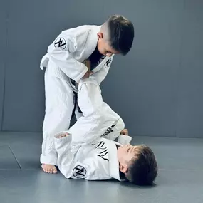 Bild von Aviv Jiu Jitsu