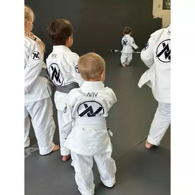 Bild von Aviv Jiu Jitsu