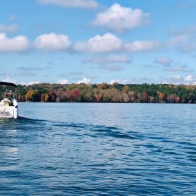 Bild von Lake Norman Marina