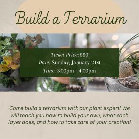 Come build a terrarium with our plant expert! We will teach you how to build your own, what each layer does and how to take care of your creation!