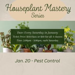 Every Saturday in January at 2pm come and learn all you need to know to be successful with houseplants. You save $10 by buying all of them together vs all individually.