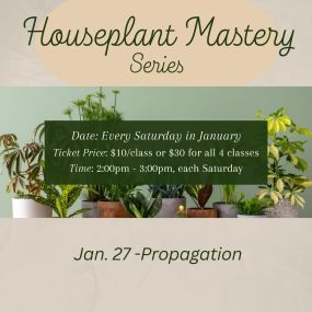 Every Saturday in January at 2pm come and learn all you need to know to be successful with houseplants. You save $10 by buying all of them together vs all individually.