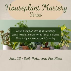 Every Saturday in January at 2pm come and learn all you need to know to be successful with houseplants. You save $10 by buying all of them together vs all individually.