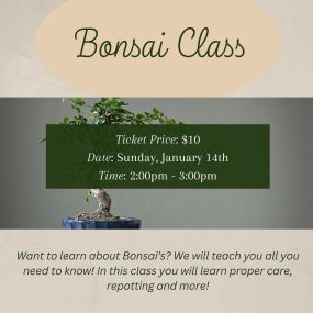 Want to learn about Bonsai’s? We will teach you all you need to know! In this class you will learn proper care, repotting and more!