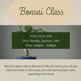 Want to learn about Bonsai’s? We will teach you all you need to know! In this class you will learn proper care, repotting and more!