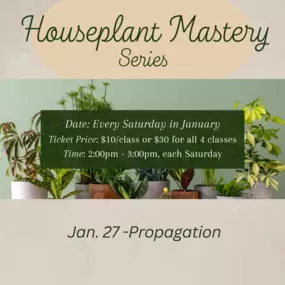 Every Saturday in January at 2pm come and learn all you need to know to be successful with houseplants. You save $10 by buying all of them together vs all individually.