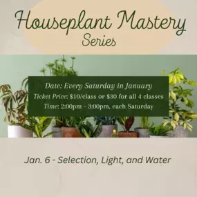 Every Saturday in January at 2pm come and learn all you need to know to be successful with houseplants. You save $10 by buying all of them together vs all individually.