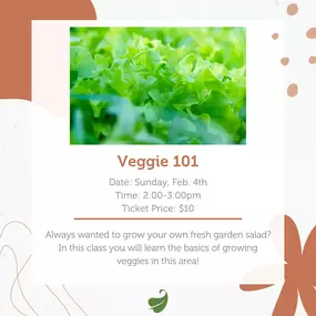 Veggie 101