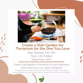 Create a Dish Garden for Terrarium for the One You Love