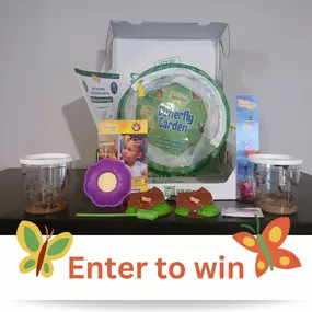 We were sent an Insect Lore Butterfly Kit with live caterpillars that will turn into beautiful painted lady butterflies. Normally, we would have this in the store for the kids to see. Since we don't have our store right now, we wanted to give this set to one of you!

How to enter:

1 - Like this post
2 - Leave a comment

???? Bonus entry: Tag a friend!

We will announce the winner on Thursday, May 23!