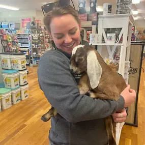 A very CUTE visitor today! Baby Toast came in for some snuggles ???????? #nubiangoat #babygoat #devinefeedandpet