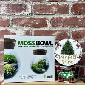 Test out your green thumb with these planter sets! ????

The mossy terrarium allows you to create your own serene oasis in the included glass bowl. With very little upkeep, the terrarium is easy to care for!

Just in time for the holidays, you can grow your very own Christmas tree! Pop the seeds and growing mix into the little tin and get excited for your Christmas tree to sprout.

These make such a great gift for kids and adults alike!

#GeppettosToys #Geppettos #Toys #Toystore #SanDiego #Small