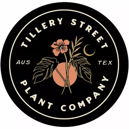 Logo de Tillery Street Plant Co.