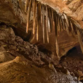 Bild von Cave of the Winds Mountain Park