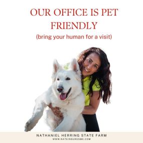 Our office is pet friendly! Bring our fury friends in for a visit!