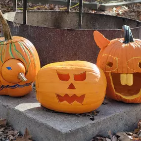 Pumkin carving is my favorite!
Show us your families pumkins.
We love fall!