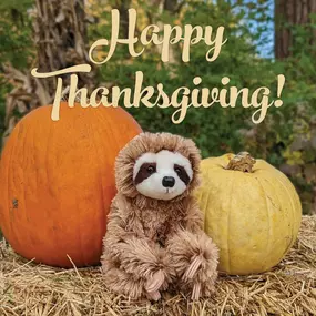 Happy Thanksgiving to all our friends! We are so grateful ❤ to be a part of your playful lives! We'll be closed Thanksgiving Day while we feast, celebrate, and rest up for Black Friday!