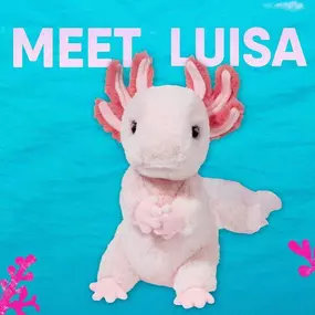 Meet our newest plushie Luisa ???????? isn’t she the cutest AXOLOTL ever. She loves the water and lots of snuggles ????????????????