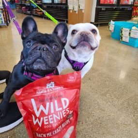 Tommy and Madison, the adorable Frenchies, just stocked up on Wild Weenies before the sale ends this month! ???? Has your pup had a nibble yet? Hurry, there’s still time for a taste test.