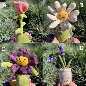 Which flower is your favorite? 
????????????????