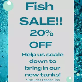 If you haven't heard yet, we are getting a shiny new fish department soon! Since we don't want to move a ton of fish over when the time comes we are putting all of our fish on sale to help thin the herd!