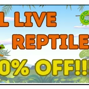 Psst..... Hey guys.... Did you notice the surprise I snuck into this months sales? All live reptiles are 10% OFF!!! Don't miss out on this awesome sale! Which one of these cuties are you going to take home?