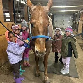 Girl Scouts from South Plainfield visited yesterday for our Equine Scout Program … they met Oakley & Sailor, learned about horses, their care & handling and even got to ride around the arena.