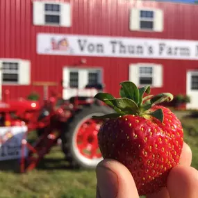 Von Thun Farms Washington, NJ