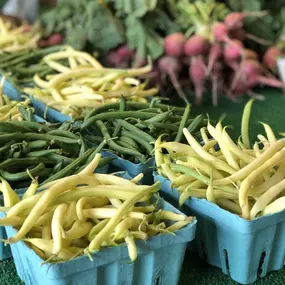 Purchase a 'share' and get a gift card to use in our farm market throughout the growing season (June - November) on our produce and homegrown beef. PLUS you receive the same perks as our Traditional CSA members like u-pick vouchers, admission passes, and farm market discounts!