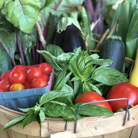 Our CSA program is the BEST way to eat local, healthy, and farm fresh for 14 weeks this season! The concept is simple ... pay now & pick up a share of fresh picked, homegrown produce each week.