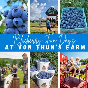 Tomorrow kicks off our first of THREE Blueberry Fun Days Weekends! ????????  Our Activity Area will be open, the u-pick blueberries are plentiful, and the heat wave is in the past! ☀️ 
Dates: June 28 & 29, July 5 & 6, July 12 & 13 
Hours: 10 am - 5 pm 
Buy tickets online & SAVE: https://vonthunsfarms.ticketspice.com/blueberry-2025