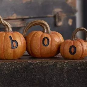 Elevate your home's autumn and spooky???? aesthetic with our Set of 3 BOO Pumpkins! ???? From eery to traditional styles, our carefully crafted resin pumpkins add the perfect touch of personality and charm to your haunted decor. ????‍⬛