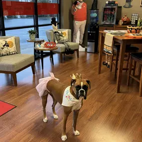 Bild von Jon Aprile - State Farm Insurance Agent