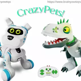 Bild von BrainyZoo Toys