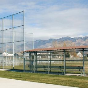 chain link privacy fence