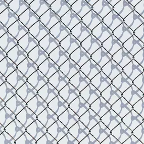 Chain link fence