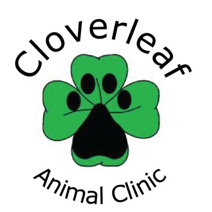 Logo from Cloverleaf Animal Clinic