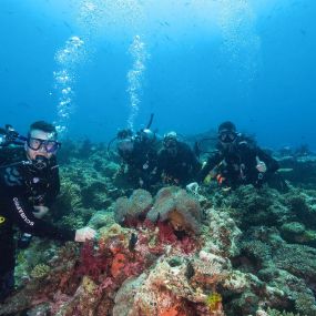 Dive Outdoors in Redding, CA