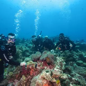 Dive Outdoors in Redding, CA