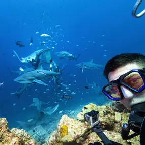 Dive Outdoors in Redding, CA