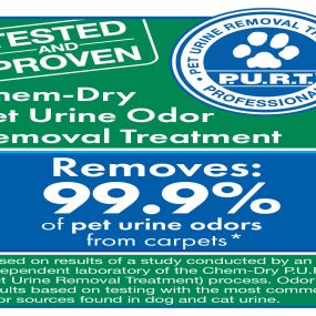 Delta Chem-Dry in San Fernando removes 99.9% of pet urine odors from carpets