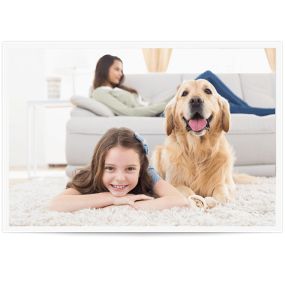 Pet Urine Odor Removal in San Fernando