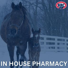 KBC offers In House Pharmacy for all your veterinary prescription needs.