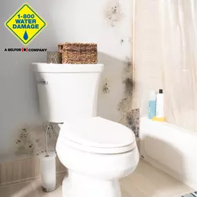 Bild von 1-800 Water Damage of Rogers & Bentonville
