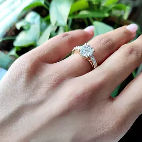 Bild von Dunkin's Diamonds