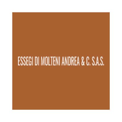 Logo van Essegi