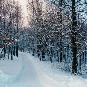 Bild von Blue Mountain Christian Retreat & Conference Center