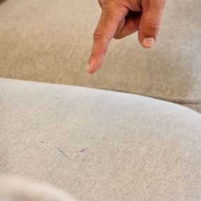 professional upholstery cleaning in wake forest, nc