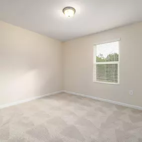 Room after carpet cleaning